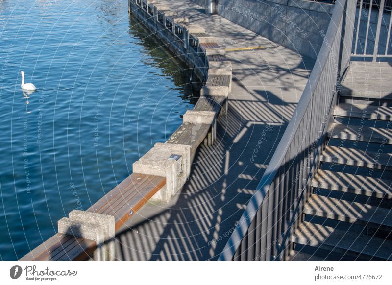 Bankenviertel Schatten Ufer See Treppe Treppengeländer Uferweg Promenade Schattenwurf sonnig blau Streifen gestreift Sitzbank Zürich Schweiz Schwan Bankgeschäft