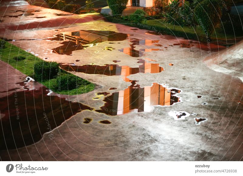 Spiegelung in einer Regenpfütze im Park Wasser Pfütze Wetter nass Reflexion & Spiegelung Natur Hintergrund im Freien reisen Tropfen Himmel Landschaft Frühling