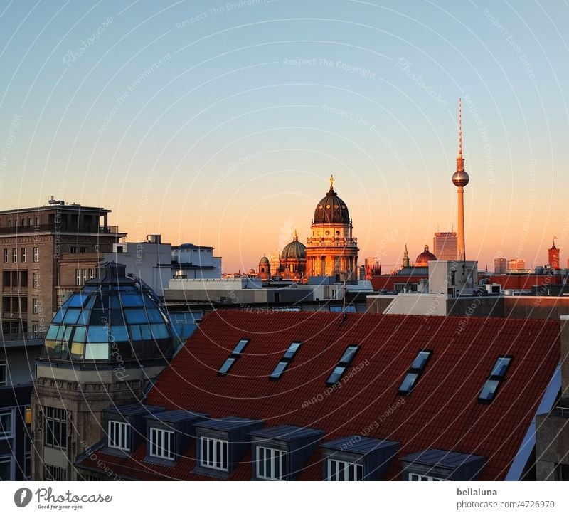 Über den Dächern Berlins Sonnenuntergang Abend Himmel Abenddämmerung Dämmerung Licht Sonnenlicht Außenaufnahme Menschenleer Schönes Wetter Horizont Kontrast