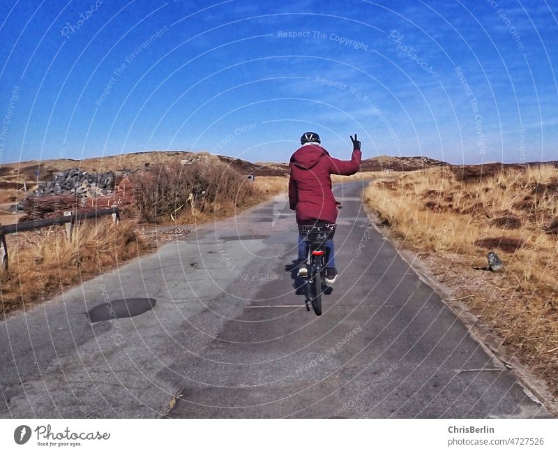 Radfahrer von hinten in der Natur Fahrrad Fahrradfahren Radfahren Straße Verkehr im Freien Geschwindigkeit Lifestyle Freizeit Bewegung