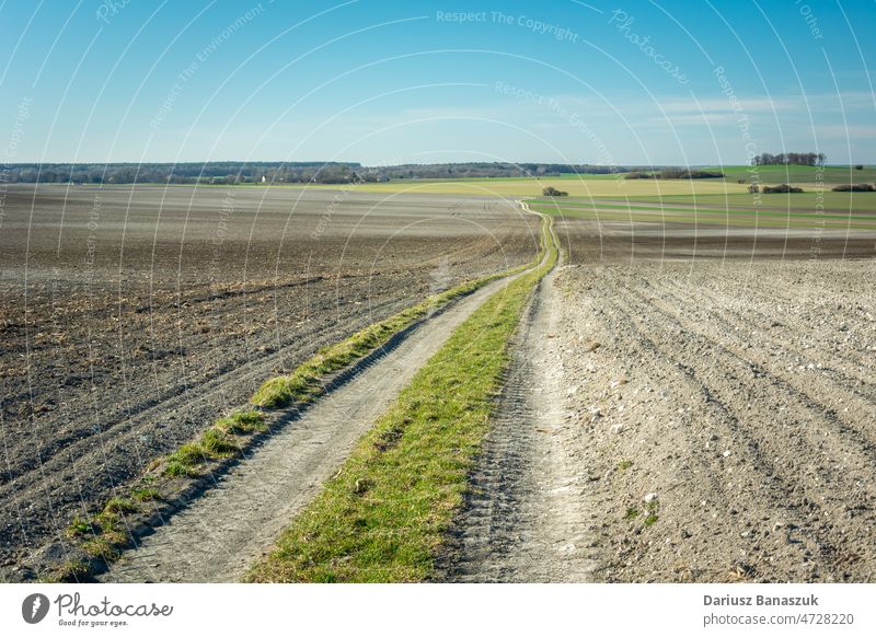 Ein langer Feldweg durch ein gepflügtes Feld Straße ländlich Himmel Ackerbau Bauernhof Weg Schmutz Land Landschaft Landwirtschaft Horizont blau Gras Ansicht