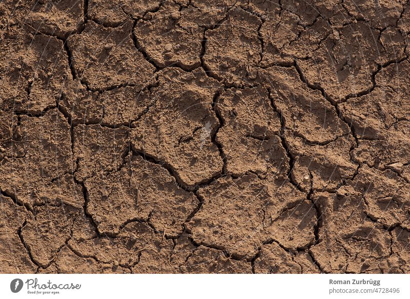 Ausgetrockneter Erdboden mit Rissen Trockenheit ausgetrocknet Dürre trocken Natur Umwelt Klimawandel braun Boden heiß trocknen Hintergrund Sommer abstrakt