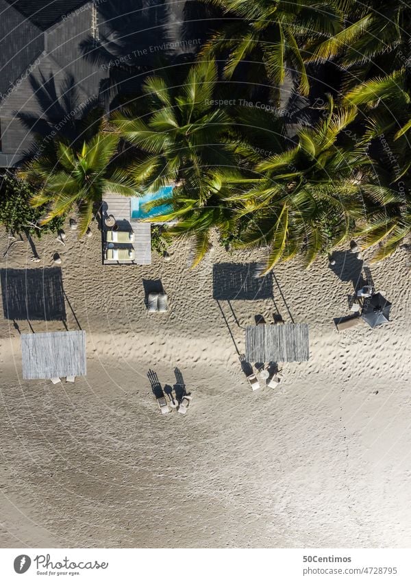 Urlaub am Strand unter Palmen - Luftaufnahme Meerwasser Küste Drohnenansicht Blick nach unten Außenaufnahme Farbfoto Menschenleer Ferien & Urlaub & Reisen
