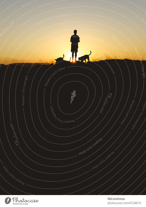 Silhouetten von Hunden und Herrchen bei Sonnenuntergang herrchen Spaziergang Ausflug Haustier Außenaufnahme Landschaft Himmel Gegenlicht Schönes Wetter Wüste