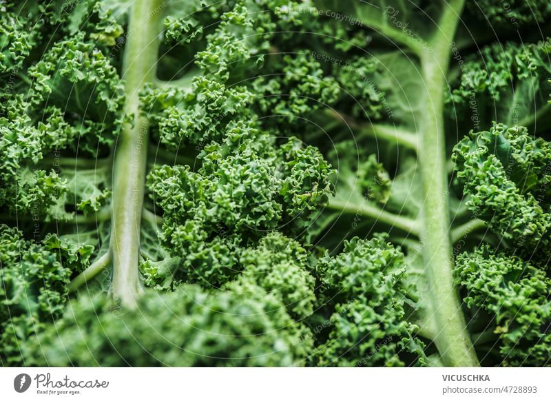 Nahaufnahme von rohen Grünkohlblättern. abschließen grün Kale Blätter Gesundheit saisonbedingt Gemüse Struktur Kohlgewächse Draufsicht Lebensmittel frisch
