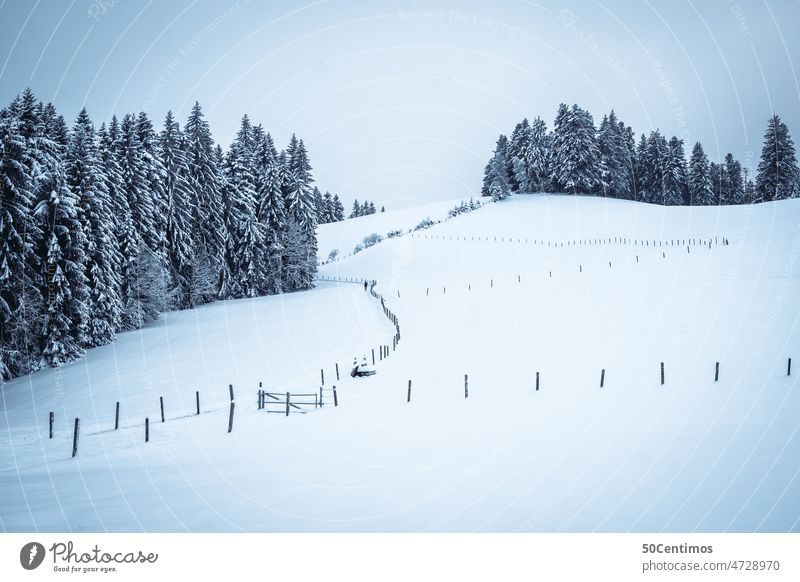 Schneebedeckte Winterlandschaft Schneedecke Wintertag Schneelandschaft Winterstimmung Nebel Weitwinkel Panorama (Aussicht) Starke Tiefenschärfe Menschenleer
