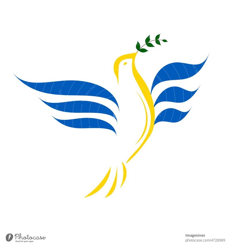 lineare Silhouette Taube mit einem Olivenzweig in den Farben der ukrainischen Flagge. Friedenstaube in Form der ukrainischen Flagge blau und gelb im Kampf für den Frieden. Unterstützen Sie die Ukraine. Abbildung