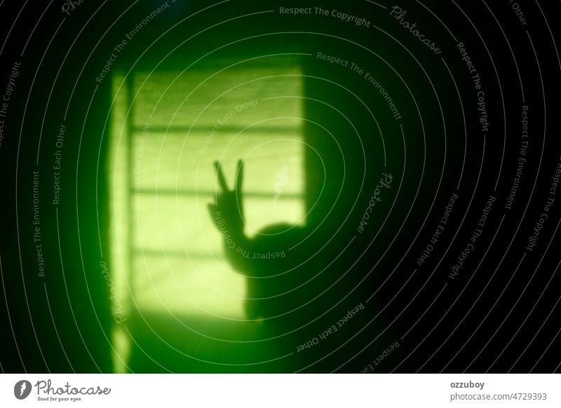 Schatten einer Hand mit Friedenszeichen an der Wand. Sonnenschein durch das Fenster gestikulieren zeigend Zeichen Kommunizieren selbstbewusst Kontakt Emotion