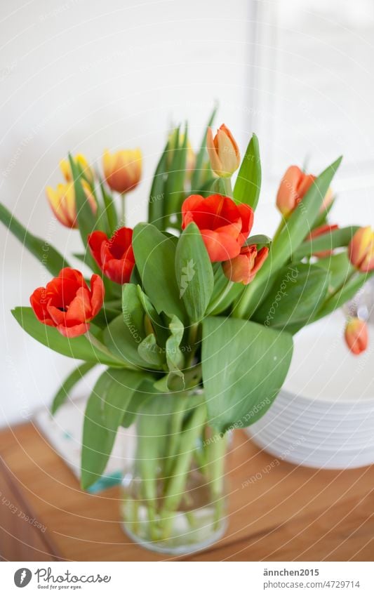 Ein Strauß Tulpen steht auf einem Sideboard aus Holz Frühling Feier rot gelb grün Blumen Dekoration Blumenstrauß Pflanze schön Natur Blüte Nahaufnahme Geschenk