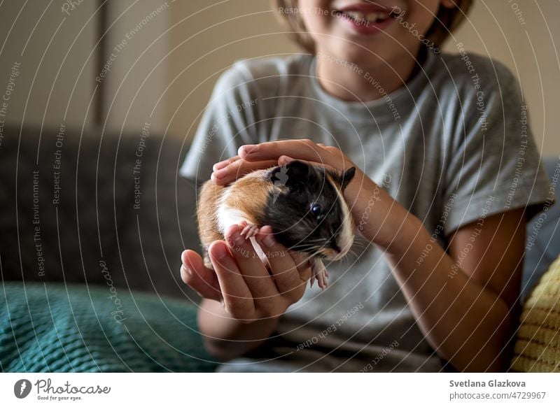 Haustierliebhaber Porträt Niedliches Kind Junge mit seinem schönen kleinen lustigen Haustier Meerschweinchen zu Hause Generation Z Guinea Schwein Tiere pelzig