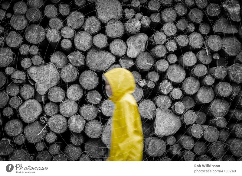 Unscharfe Frau in gelbem Mantel geht im Regen an Baumstämmen vorbei. Erwachsener Hintergrund Schönheit in der Natur unscharfe Person Farbe Landschaft