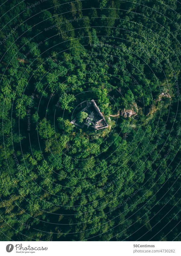 Verlassene Burg im Wald Drohne Außenaufnahme Natur Menschenleer Farbfoto Landschaft Umwelt Tag Baum friedlich Pflanze Erholung Drohnenansicht Blick nach unten