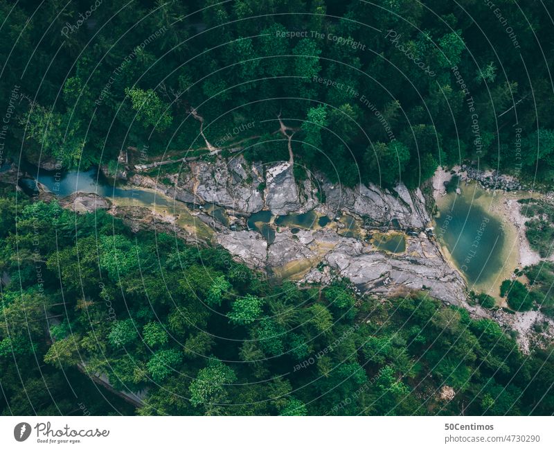 Felsenbad in Faistenau Wald See Waldsee Drohne Außenaufnahme Natur Seeufer Wasseroberfläche Menschenleer Farbfoto Landschaft Umwelt Tag Baum Teich friedlich