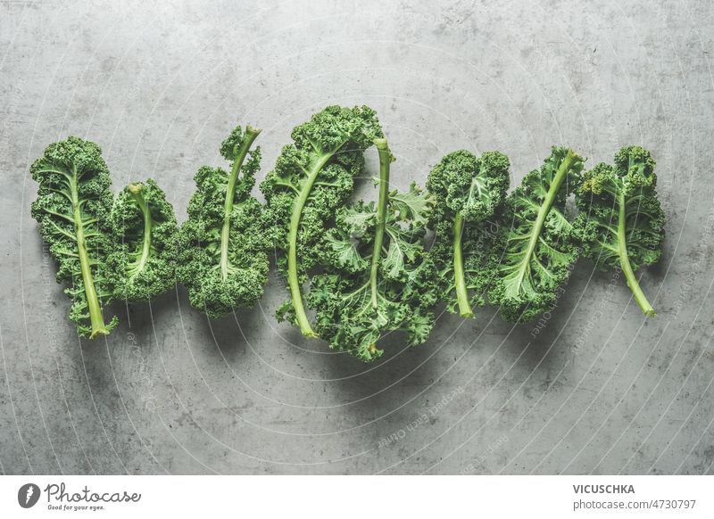 Grüne rohe Grünkohlblätter in Reihe auf grauem Beton Küchentisch. Gesundes Wintergemüse der Saison grün Kale Blätter Linie Tisch Gesundheit saisonbedingt Gemüse