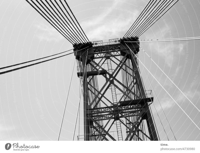 Seilschaft | Konstruktionskunst Brücke Architektur hoch monströs Sicherheit Bauwerk Stahlseile Himmel Wolken Verkehr Froschperspektive Leiter Linien