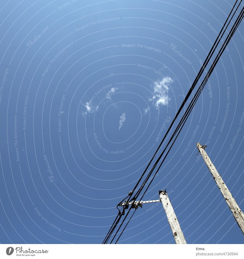 Froschperspektive | einseitige Kommunikation Überlandleitung Holz Kabel Elektrizität Energiewirtschaft Strommast Hochspannungsmast Technik & Technologie Himmel