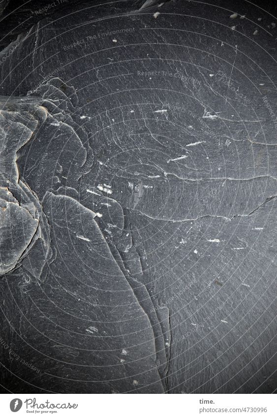filigran | versteinerte Lebenslinien schieferstein anthrazit fläche oberfläche von oben Vogelperspektive zufällig ungeplant textur