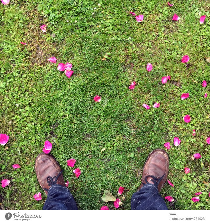 Farbcontest | nach dem Regen rosenblätter wiese füße schuhe grün pink blütenblätter verstreut nass abgefallen
