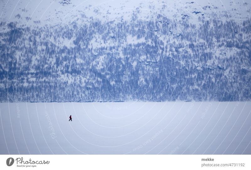 Einsamer Wanderer auf zugefrorenem See Schnee Landschaft Winter Natur Eis kalt Berge u. Gebirge allein schneebedeckt Weite Entfernung Skandinavien Arktis
