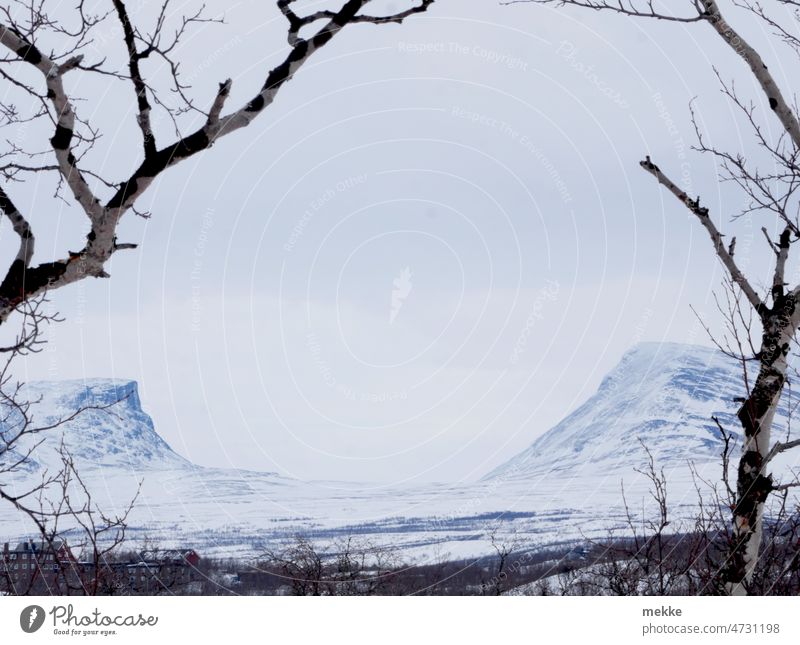 Lapporten im Winter eingerahmt von Birken Berge u. Gebirge Tal Schneise Schneebedeckte Gipfel Abisko Nationalpark Schweden Trog Trogtal Birkenwald umrahmt Ferne
