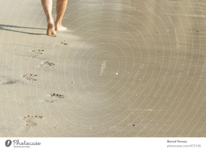 Spuren im Sand Ferien & Urlaub & Reisen Sommer Sommerurlaub Strand Meer maskulin Mann Erwachsene Beine Fuß 1 Mensch 30-45 Jahre berühren gehen genießen hell