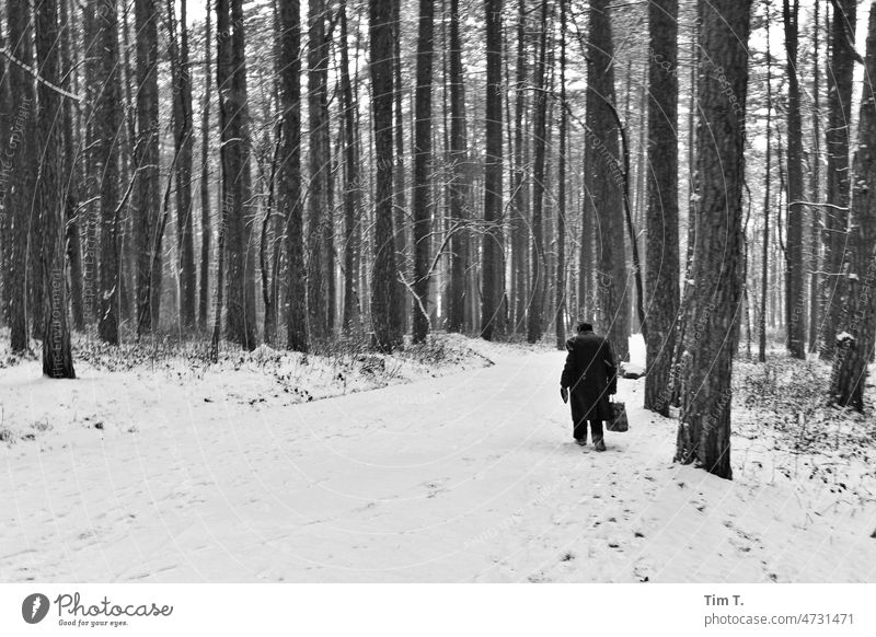 ein alter Mann in Winterkleidung stapft durch den verschneiten Wald Bulgarien Schnee s/w bnw Schwarzweißfoto Tag Außenaufnahme cold Sofia