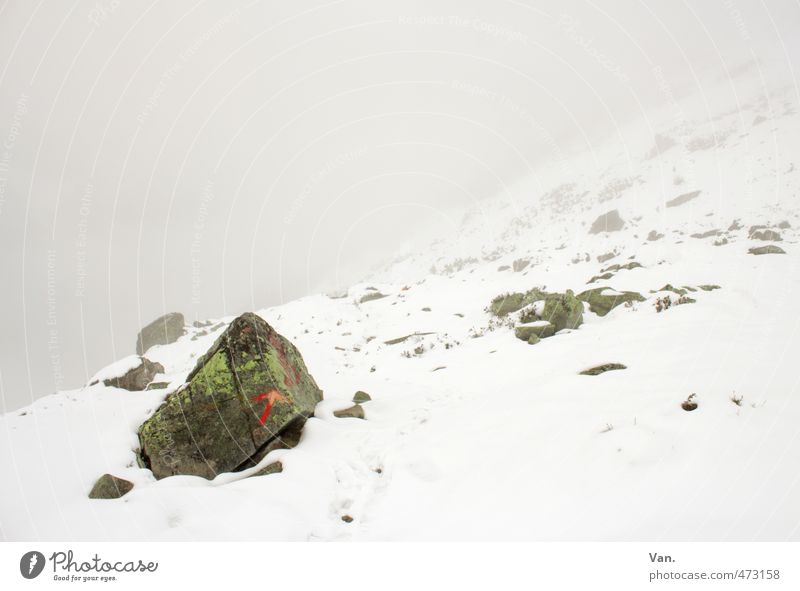 Ich kann den Weg deutlich sehen!! Berge u. Gebirge wandern Natur Landschaft Wolken schlechtes Wetter Nebel Schnee Felsen Alpen kalt weiß Stein