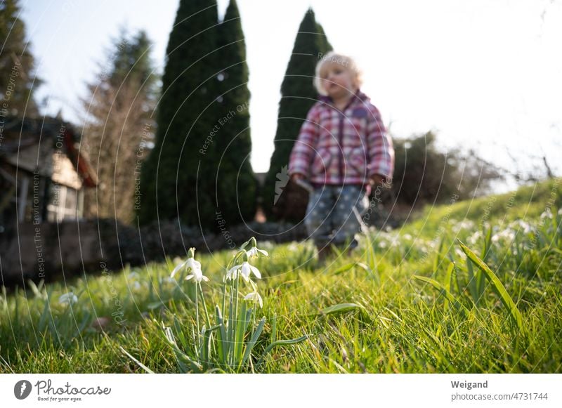 Kind im Garten Frühling Ostern suchen Schneeglöckchen Kindheit Kita