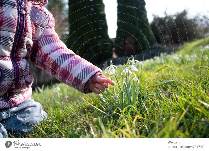 Kind im Frühling im Garten Schneeglöckchen Start Kindergarten Kita Blumen Aufbruch Faszination Hand zart Ostern
