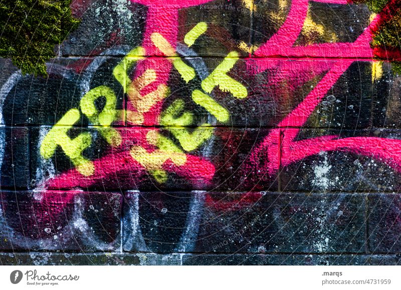 FREIHEIT Schriftzeichen Freiheit Politik & Staat Gesellschaft (Soziologie) Menschenrechte Repression Angst Hoffnung Graffiti Grundrechte Menschenwürde Krieg