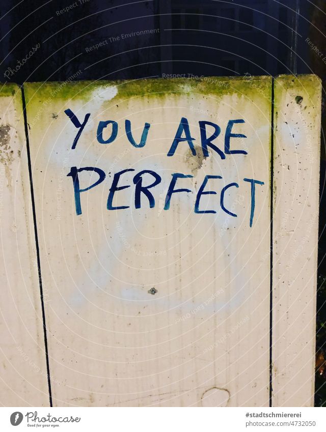 You are perfect Schönheit natürlich kompliment perfekt Person Menschenleer Straßenkunst Schriftzug Außenaufnahme