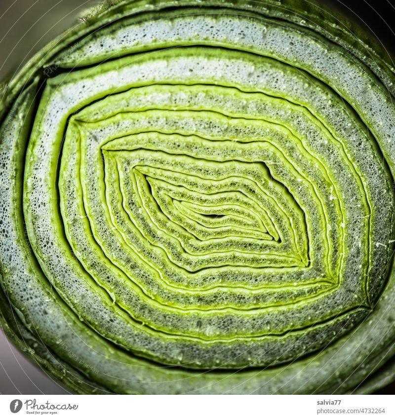 Querschnittsfläche einer Lauchstange Strukturen & Formen Allium Farbfoto Makroaufnahme Natur Pflanze grün Ringe Anschnitt Menschenleer Nahaufnahme Schichten