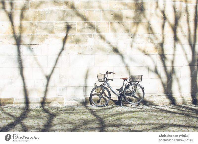 Ein Fahrrad steht im Sonnenlicht mit eigenem Schatten und den Schatten großer Bäume vor einer hellen Wand Fahrradkorb Fahrradschatten Lenkerkorb Fahrradfahren