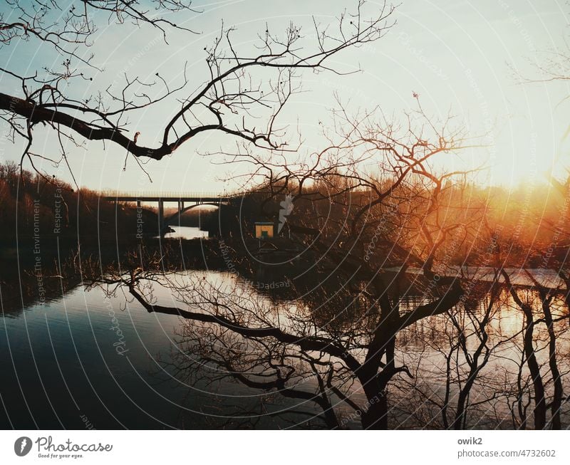Spätes Licht Stausee Herbst Farbfoto Wasser Brücke Brückenkonstruktion groß hoch Menschenleer Landschaft Natur Umwelt Wolkenloser Himmel Sonne Horizont Bautzen