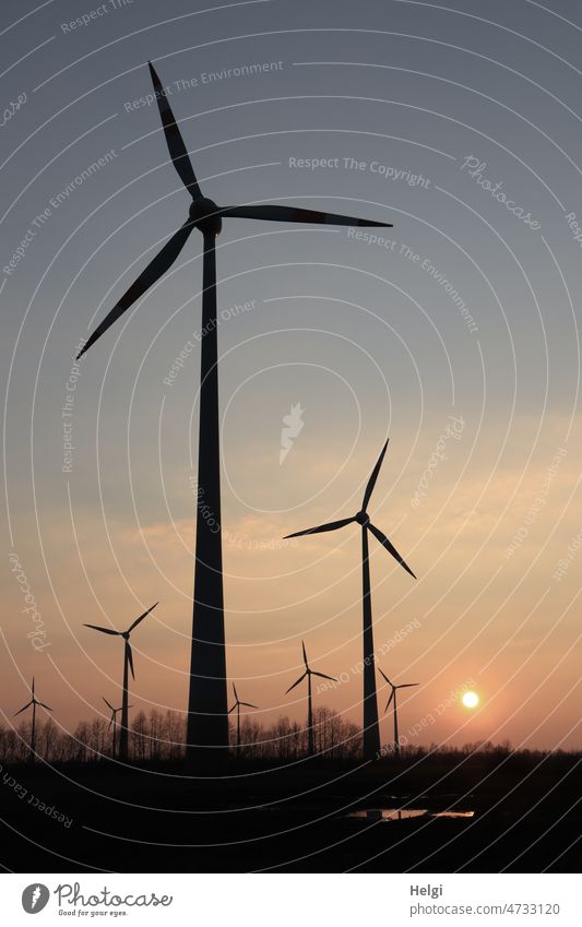 mehrere Windkraftanlagen vor untergehender Sonne Windrad Energie Energiegewinnung Stromerzeugung alternative Energie Energiewirtschaft Elektrizität