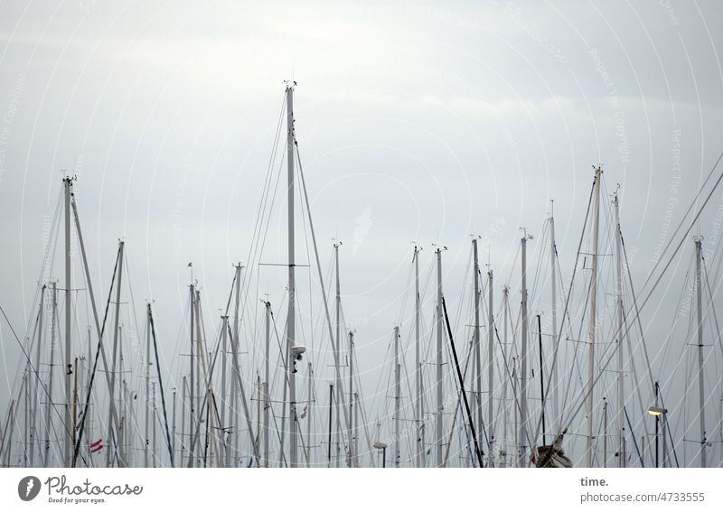Mastenball masten segelboote maritim hafen himmel taue seile gemeinschaft viele stangen