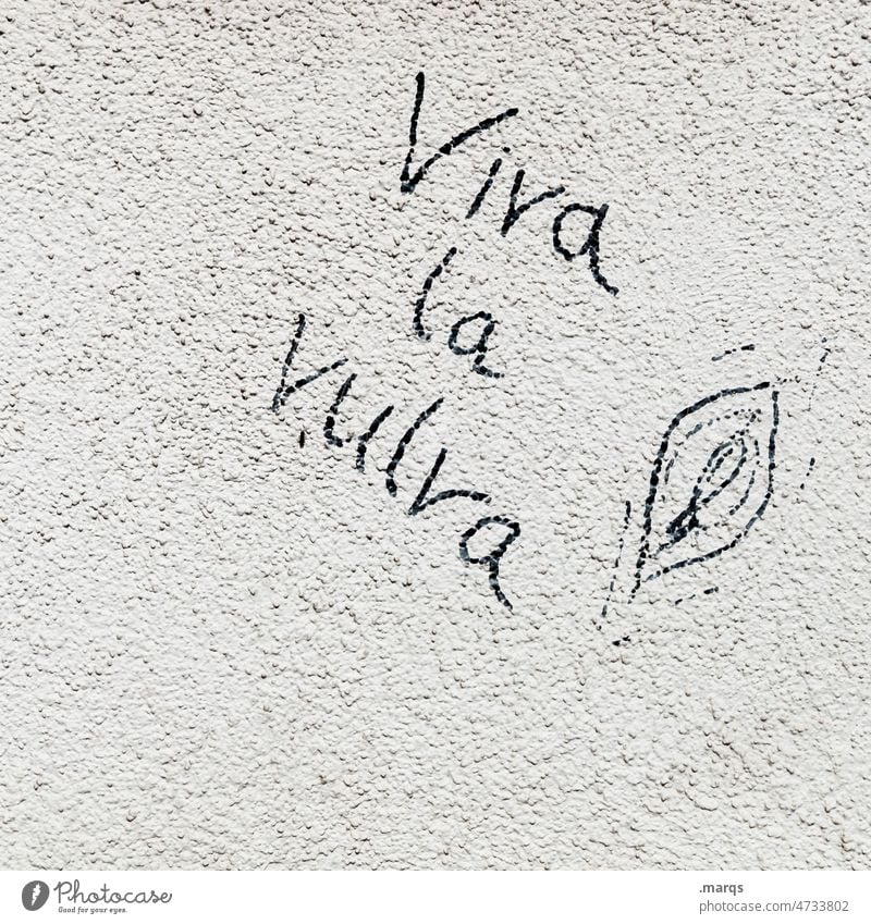 Viva la Vulva vulva Frau Sexualität feminin Geschlecht feministisch Lust Körper Erotik Feminismus vaginal weiblich Graffiti Frauenpower Emanzipation