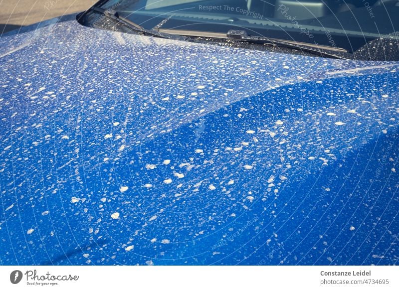 Blaues Auto mit Saharastaub blau schmutzig PKW Fahrzeug Autofahren dreckig Blutregen Wetter Regen Saharasand
