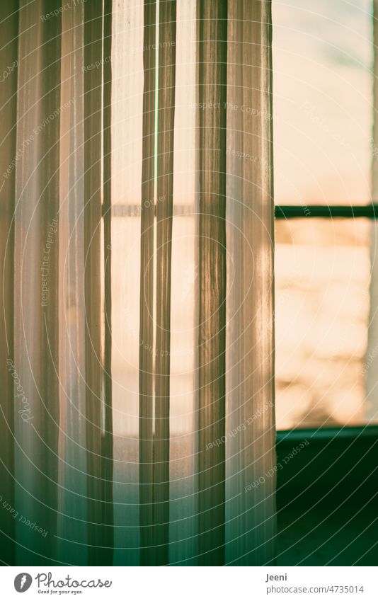 Fensterblick mit Gardine Licht Fensterscheibe durchsichtig Vorhang Wohnung Lichteinfall Sichtschutz Stoff Falte Faltenwurf warm Sonnenlicht Textilien hängen