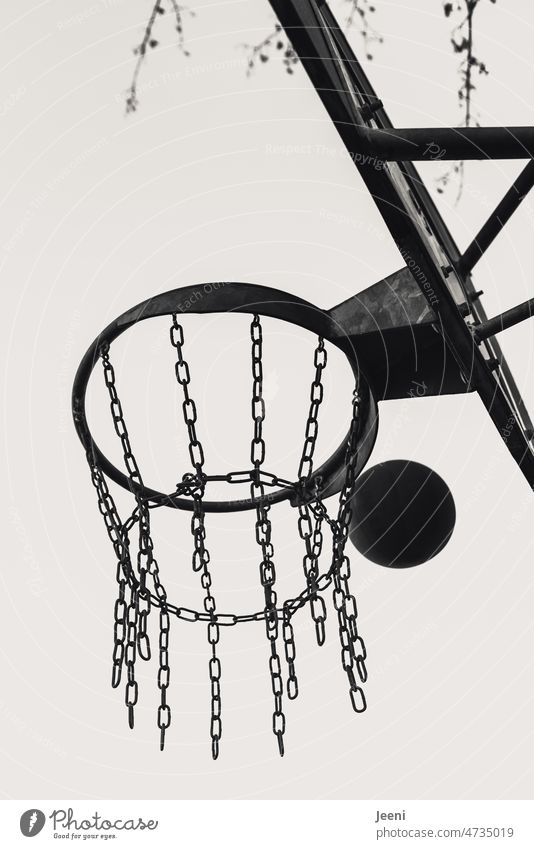 Basketball spielen Basketballkorb Sport Spielen werfen Treffer Froschperspektive Ball Korb springen Metall Ziel sportlich Freizeit & Hobby Gewinner Sieg