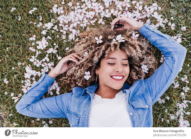 Draufsicht auf eine glückliche hispanische Frau mit Afro-Haar, die im Gras zwischen rosa Blütenblättern liegt. Tanzen kurvenreich Körperfreundlichkeit Afro-Look
