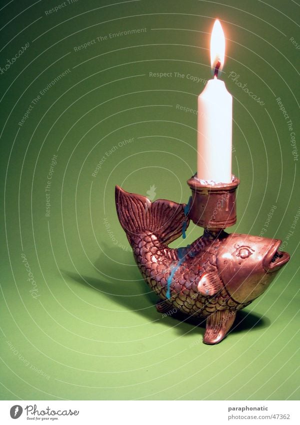 Fisch sucht Fahrrad - Das Candlelightdinner! Kerzenständer Wachs brennen Tropfen grün Hintergrundbild Innenaufnahme Fototisch Erholung Abenddämmerung Festessen