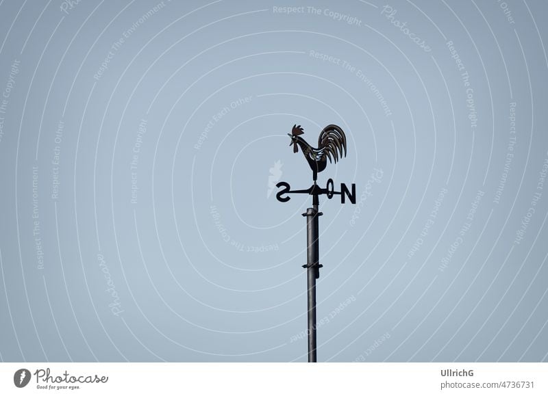 Wetterfahne in Gestalt eines Hahns und Windrichtungen auf einem Dach. Wetterhahn Fahne Windrose Himmelsrichtung krähen Norden Süden Osten Westen Wetterstation