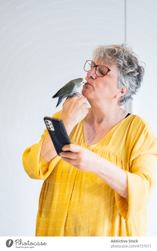 Reife Frau mit Smartphone küsst niedlichen Papagei in weißem Studio Kuss Graukopf-Unzertrennliche Agapornis canus Besitzer benutzend Zusammensein Vogel Mobile