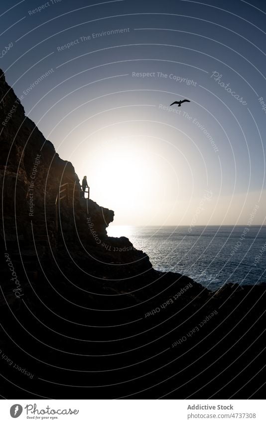 Silhouette eines Reisenden, der das Meer vom felsigen Ufer aus bewundert Tourist Klippe steil bewundern Vogel Berghang beobachten Freiheit Blauer Himmel Felsen