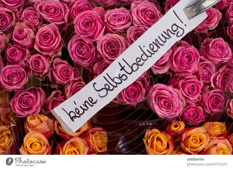Keine Selbstbedienung stadt selbstbedienung keine selbstbedienung schild schrift aufschrift ordnung regel anordnung rose blume blüte blumenstrauss rosenstrauss