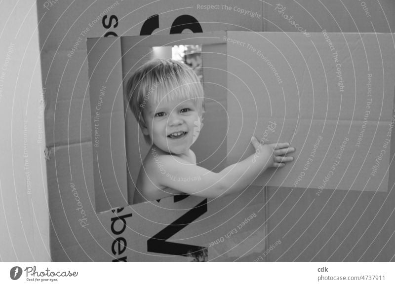 Kindheit | Kind im Karton | Fenster auf: Hallo, da bin ich! Kleinkind Junge blond schwarzweiß Foto draußen Tageslicht Freude Lachen Lebensfreude Spiel und Spaß
