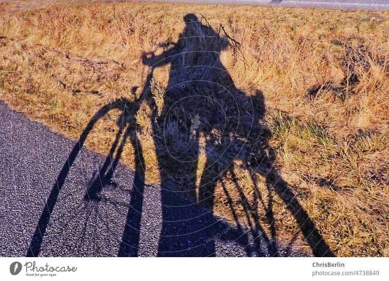 Menschenschatten mit Fahrrad Schatten Licht & Schatten Sonnenlicht Kontrast Schattenspiel Silhouette fahrradschatten Außenaufnahme Farbfoto Strukturen & Formen