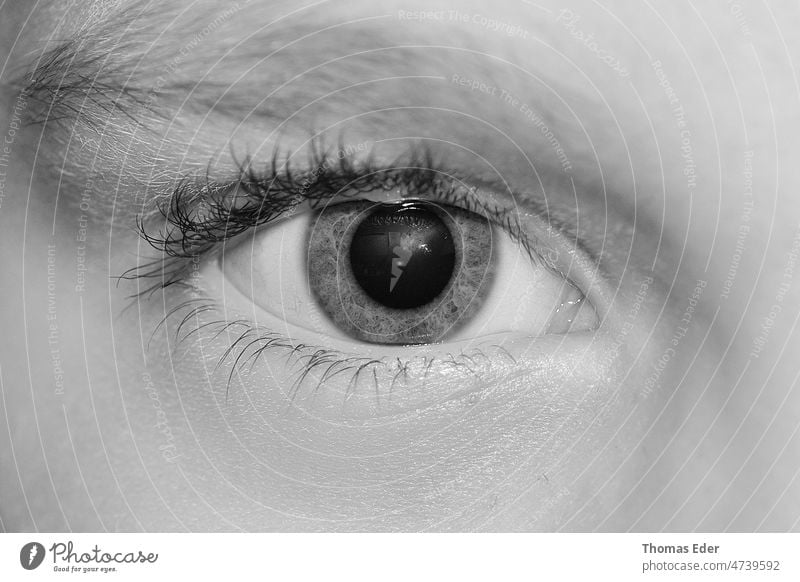 Auge in Schwarz Detailaufnahme Schönheit Ansicht Makro menschlich Regenbogenhaut Sehvermögen Aussehen schön blau Frau Wimpern Make-up Nahaufnahme