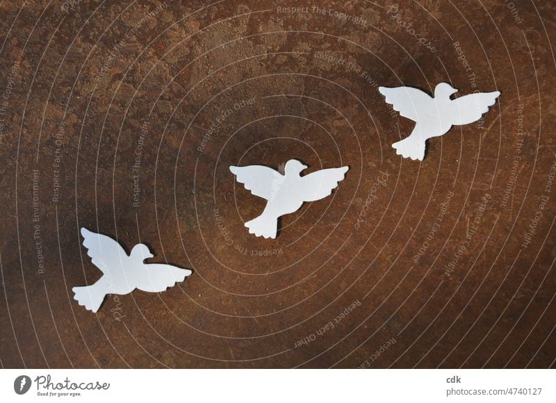 Friedenstauben für die Ukraine | Freiheit, Gleichheit, Geschwisterlichkeit (Brüderlichkeit) 3 Friedenstauben Taube weiße Tauben braun rostig Rost Kontrast